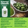 Synergy Natural Organic Chlorella 500mg 200t