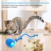 LEUCITE Interactive Cat Toys: Agile Moving Ball with Elastic Mesh