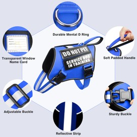 Service Dog Harness and Leash Set, Training Dog Vest with 10 Dog Patches, Emotional Support Therapy Dog Vest Harness for Small Medium Large and Extra Large Dogs(Blue, XL)