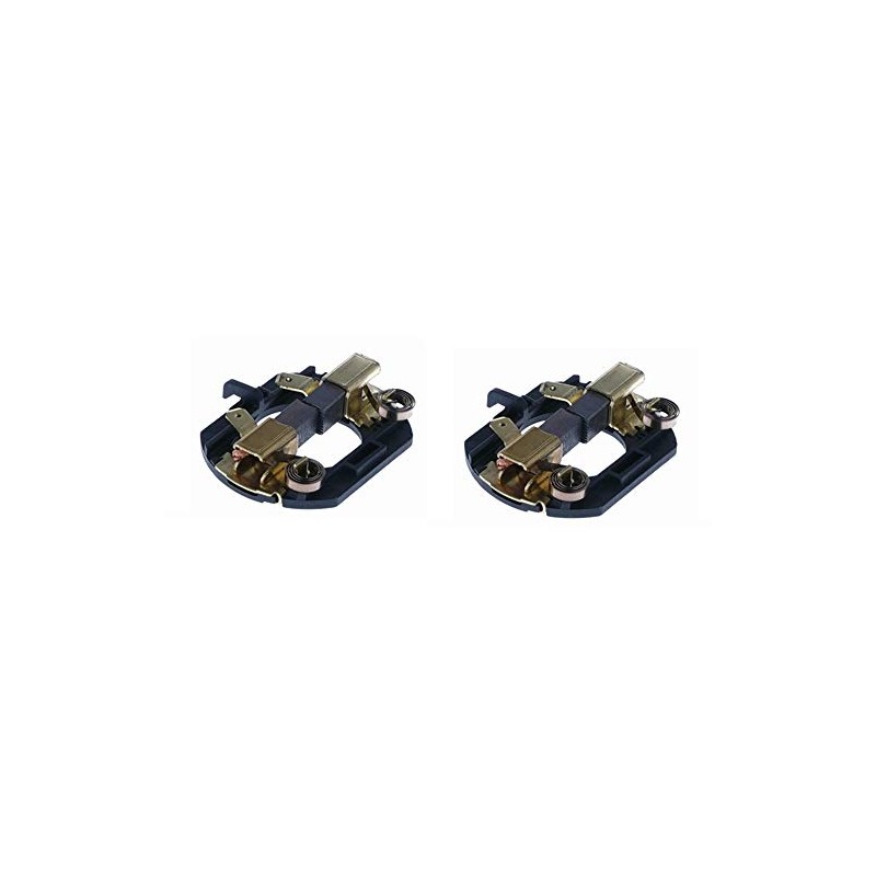 AKXSLCH (2 Pack) Replacement A complete set of Carbon Brush
