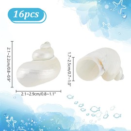 PH PandaHall 16pcs Natural Spiral Shell Beads, 0.8~1.1 Inch Mouth Turbo Seashells Undrilled Spiral Seashells NO Hole Shells for Home Party Wedding Decor Fish Tank Vase Filler, Antique White