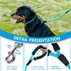 Aiminto Dog Leash, Braided Rope Traction – Walking Training Lead