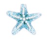 Gallerie II Coastal Sea Star Ornament Blue