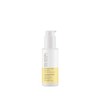 Paul Mitchell Clean Beauty Volumizing Liquid 100ml