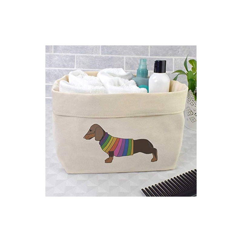 Large 'Dachshund In Rainbow Coat' Canvas Organiser/Storage Bag (OR00016081)