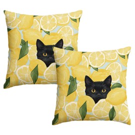 Summer Lemon Black cat Throw Pillow Covers, 18 x 18 Inch Leaves Cushion Case Decoration for Sofa Couch Holiday Seasonal Home Decor Set of 2