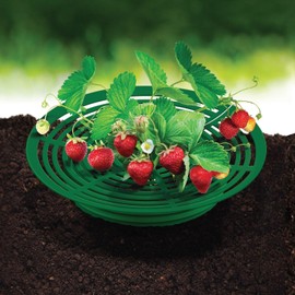 Rooted Promise Strawberry Plant Support Frame, Round 12 inches, Perfect for Keeping Berries Off The Ground, Made in The USA - Pack of 4