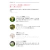 Aurelie Wrinkle Repair Serum, Serum, Moisturizing Serum