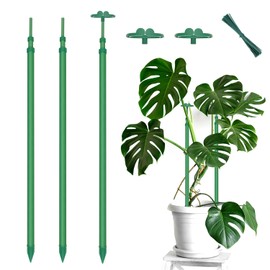 Extendable Plant Stakes for Indoor and Outdoor Gardening - 3 Pack