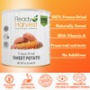 Ready Harvest Freeze-Dried Sweet Potatoes | Camper Must-Haves Camping Essentials