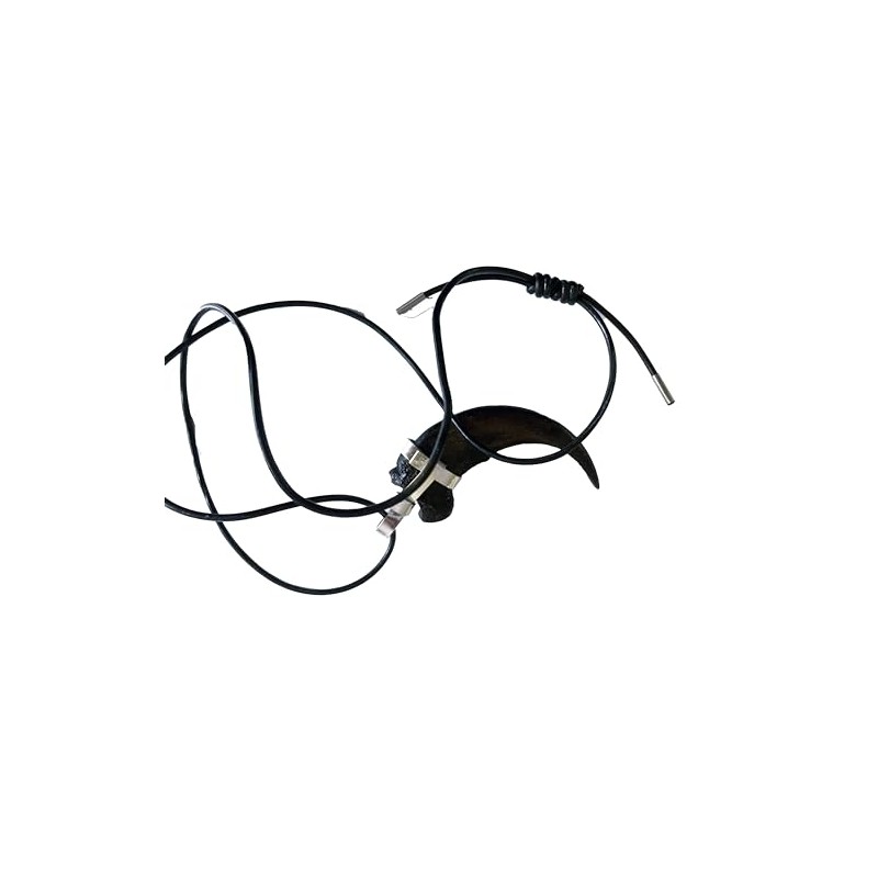 Grizzly Bear Claw Necklace