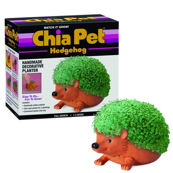 Chia Chia Pet Hedgehog Decorative Pottery Planter with Seed Pack,
