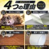 Hamdelhi Removable Protective Tape, 3.9 ft (10 m) x 2.5