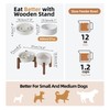 Havniva Ceramic 1.2 Cup Raised Slow Feeder Dog Bowl Set,