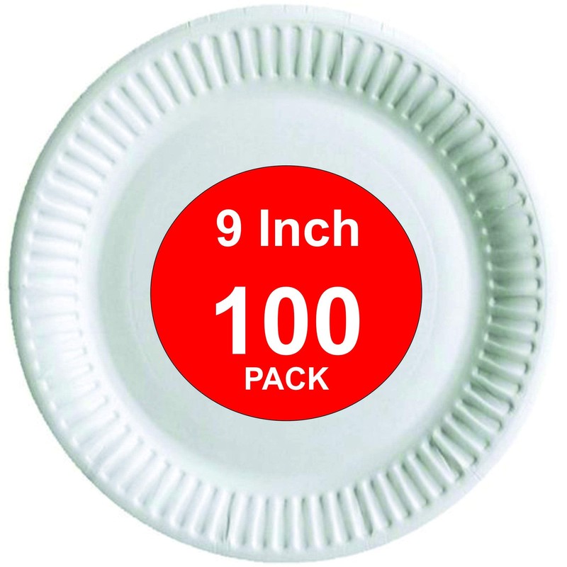 HOT BARGAINS 100 X 9 Inch Disposable Paper Plates for