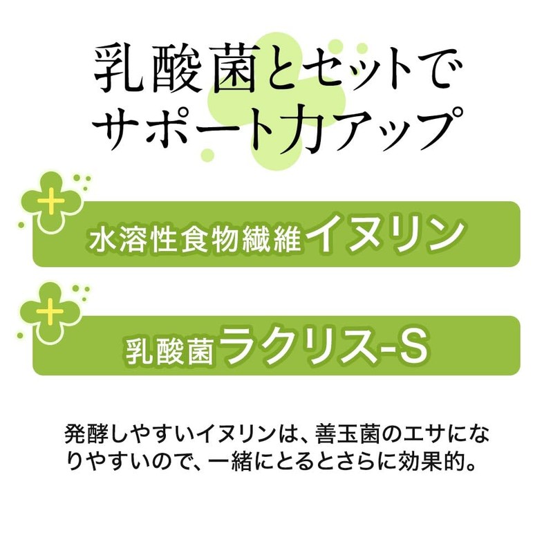 オーガランド イヌリンパウダー 乳酸菌プラス 100g イヌリン 乳酸菌 粉末 溶けやすい 水溶性食物繊維
