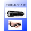 Black Light, UV Light, Ultraviolet Light, Invisible Dirt and Anisakis