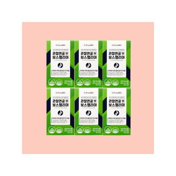 FromBio Articular Cartilage Boswellia Joint 30 tablets [6 units] /