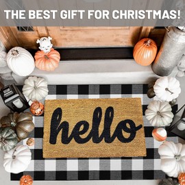 IOHOUZE Buffalo Plaid Checkered Rug 3x5 Ft Front Door Mats, Washable Area Rugs for Front Porch Decor, Spring Summer Welcome Mats Outdoor, Black White Rug for Farmhouse/Entryway/Home Entrance