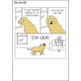 Humorous Greeting Card (WDM8235) Blank/Birthday - Stay Calm - Dog - They Can Talk Range
