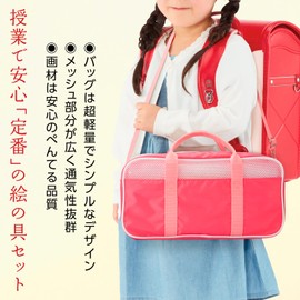 Pentel ZST41-P Paint Set, Art Supplies Set, Pink