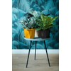 elho B.for Rock 14 - Flower Pot for Indoor -