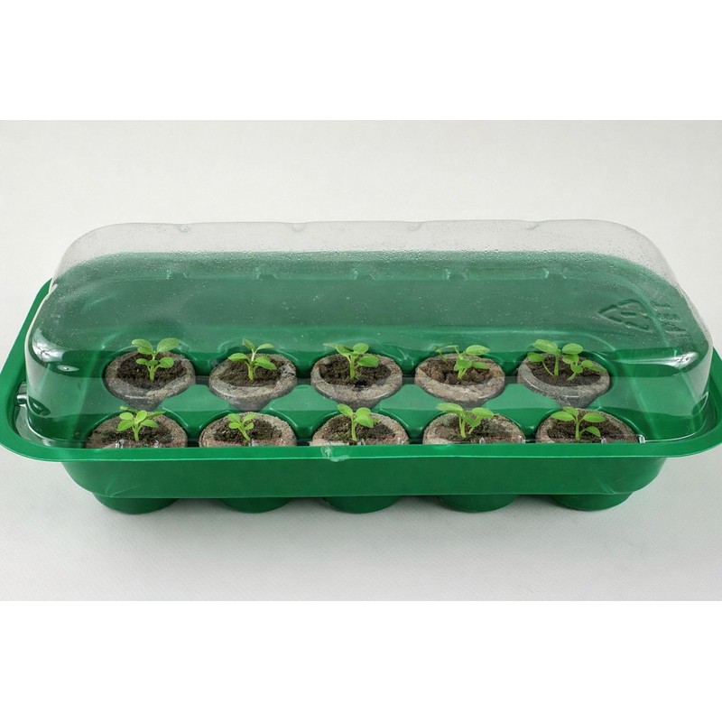Sesua Propagation Set Including 10 Sourcing Tabs Sourcing Tablets Indoor