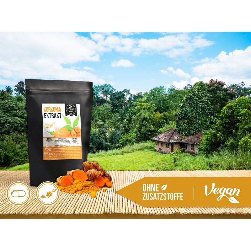 Turmeric Extract, 95% Curcuminoids, 100 g Powder, Organic Extract Powder,