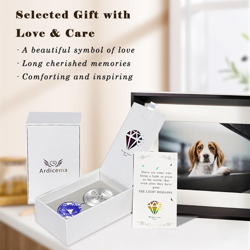Ardicema Dog Memorial Gifts with Paw Print Kit, Sun Catcher