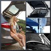 Rear Hatch Tailgate Lift Supports Gas Shock Struts Compatible with