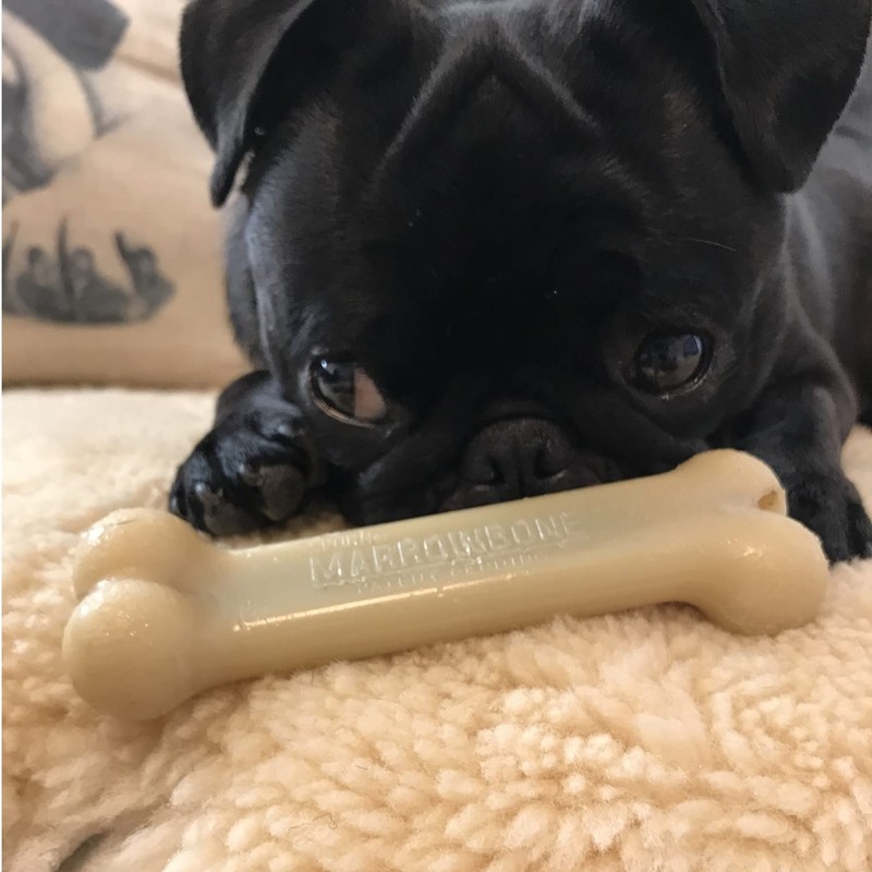 THE SPORN COMPANY Dental Toy for Dogs Marrowbone Petite