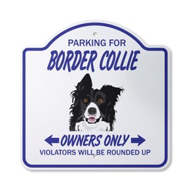 Border Collie 12" X 12” Sign | Indoor/Outdoor Plastic | SignMission Designer Dog Dog’s Groomer Breeder Pet Animal Novelty Gift Funny Joke Gag Road Garage