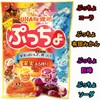 森永製菓 ハイチュウ ぷにしゃり UHA ぷっちょ アソートセット 10種 104個 +おやつのふくろ 個包装