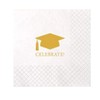 100 Pack of Graduation Party Napkins for Graduation Party