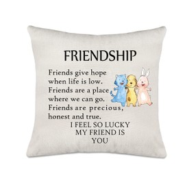 Axmosto Friendship Cushion Cover Gifts, I Feel so Lucky My Friend is You, Lovely Office Home Decor Cushion Pillow Cover for Best Friends, 45_x 45_cm, axmosto-017