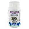 Blueberry Extract Capsules