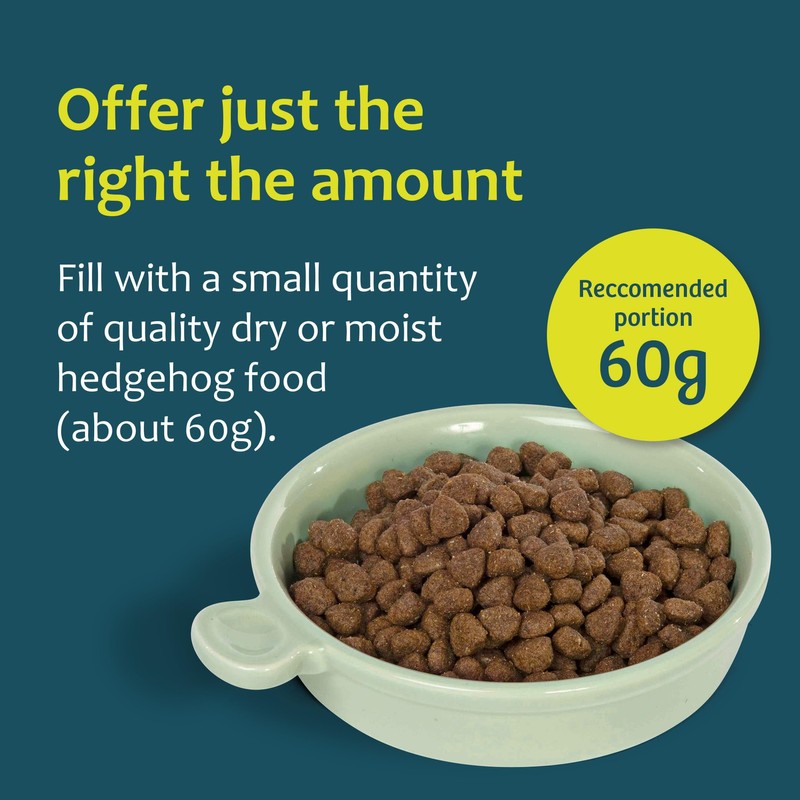 Jacobi Jayne Ceramic Hedgehog Food and Water Bowl Hedgehog Dish