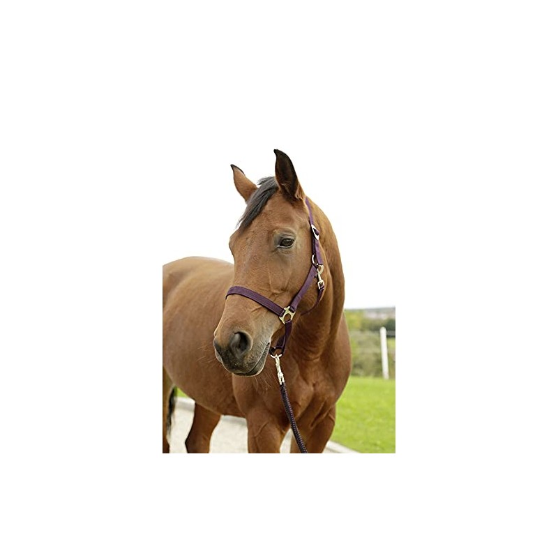 Kerbl Hippo Headcollar Aubergine Size 2 Pack of 120 3222138