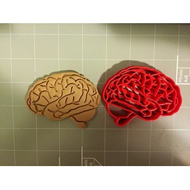 Brain Anatomy Cookie Cutter
