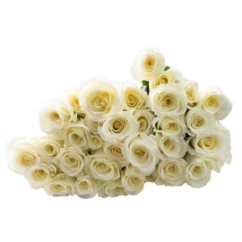 Blooms2Door 50 White Roses (Farm-Fresh, Long Stem - 50cm) - Farm Direct Wholesale Fresh Flowers