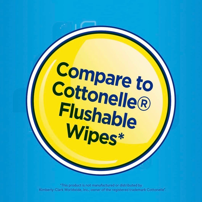 Equate Flushable Wipes, Fresh Scent, 240 Ct