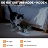 KiwiLove Cat Toys, Interactive Cat Toys for Indoor Cats, USB