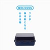 Miyoshi Seisakusho GEL-COOL Lunch Box with Integrated Ice Pack, Berry