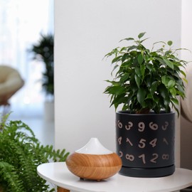 D'vine Dev Set of 2 Ceramic Planter Pots with Drainage Hole and Saucer, 4.5 Inch 6 Inch Plant Pots for Plants Indoor Houseplants, Black, 99-B-2