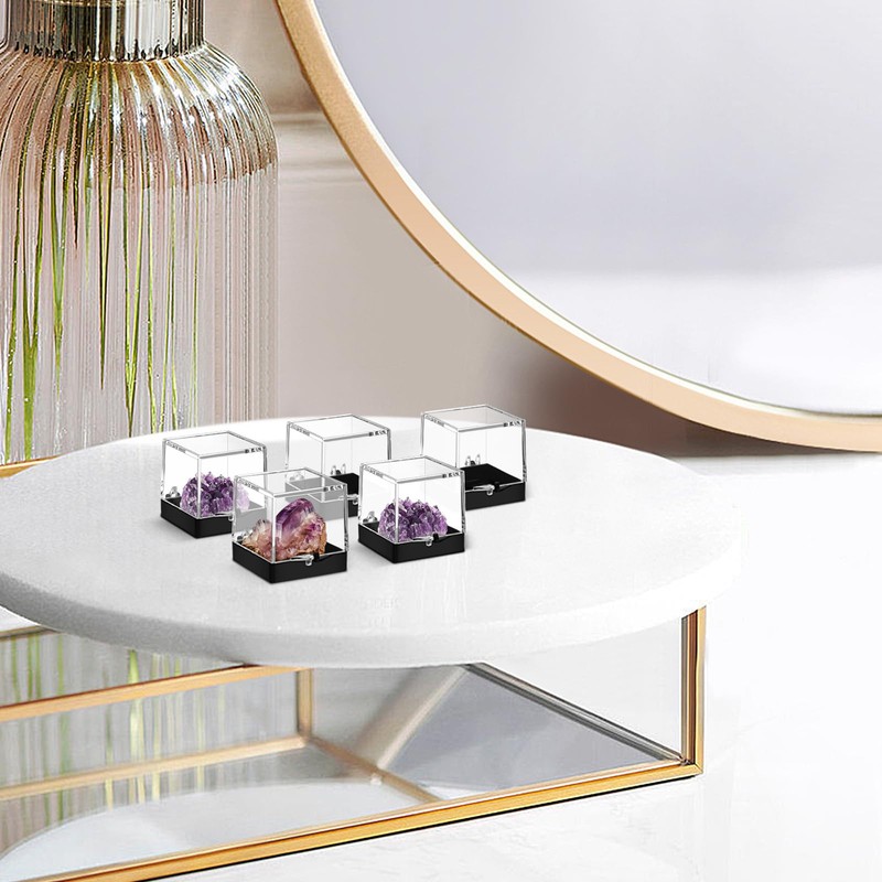 MAGICLULU 12pcs Specimen Box Specimen Display Box Mineral Specimen Container