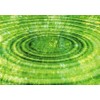 Tushita Blank Postcard Flowers: Bamboo - Zen