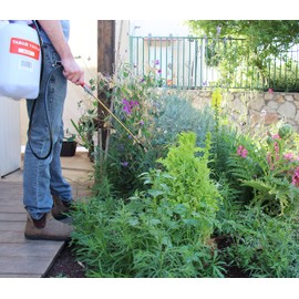 TABOR TOOLS 1.3 Gallon Lawn and Garden Pump Pressure with Pressure Relief Valve, Adjustable Shoulder Strap, Telescopic Adjustable Wand and Extra Set of Seals. N50TA.