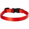 Lupine 1/2-Inch Adjustable Dog Collar