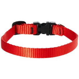 Lupine 1/2-Inch Adjustable Dog Collar