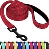 CollarDirect Nylon Dog Leash 5ft for Daily Outdoor Walking Running